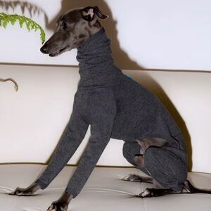 Brand new dog onesie (whippet/Iggy)